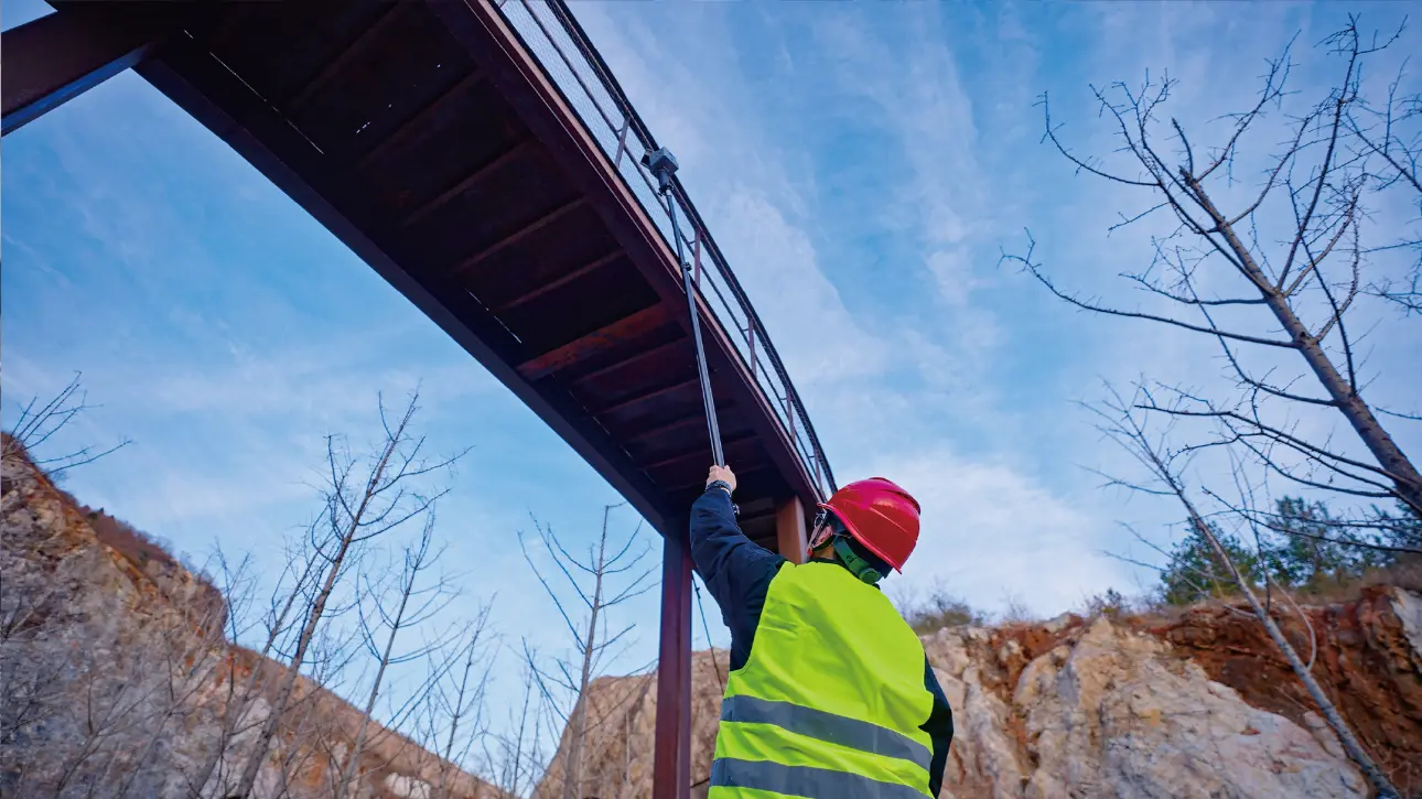 Trion S2 sur canne télescopique